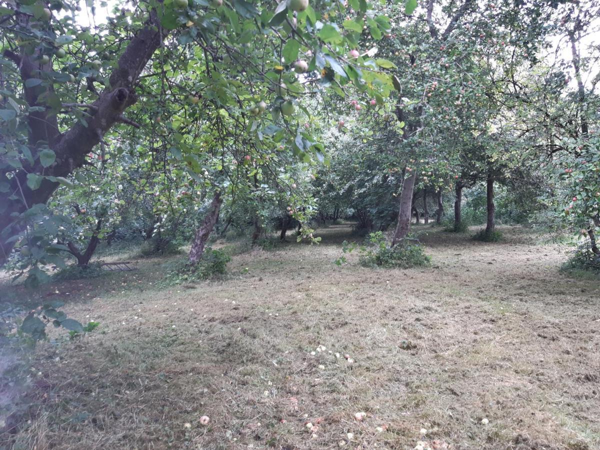 Appartamento Lundtofthoj Aabenraa Esterno foto