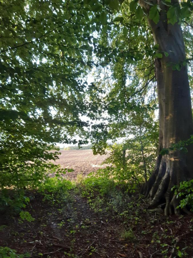 Appartamento Lundtofthoj Aabenraa Esterno foto