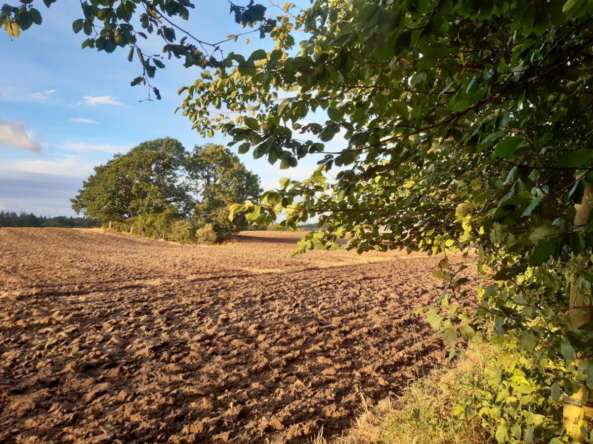 Appartamento Lundtofthoj Aabenraa Esterno foto