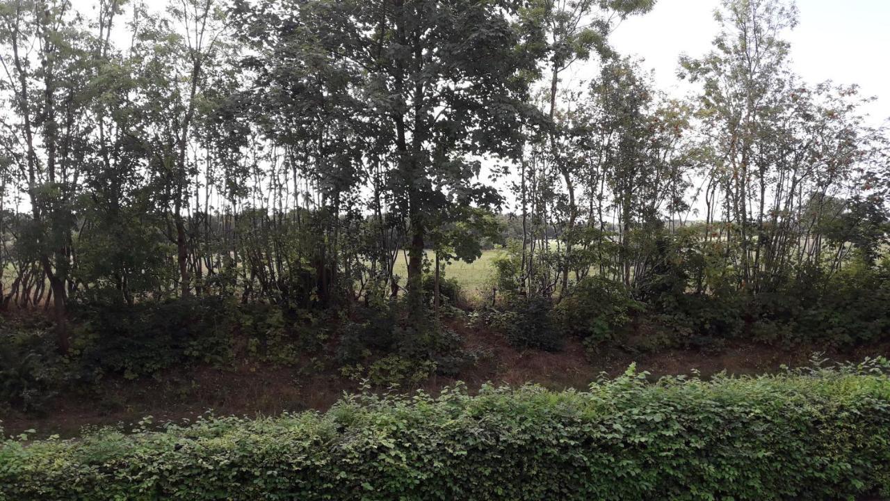 Appartamento Lundtofthoj Aabenraa Esterno foto